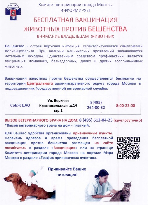 Сделать прививку от бешенства человеку в москве. Вакцинация хорька схема. Вакцинация животных от бешенства. Схема иммунизации против бешенства.